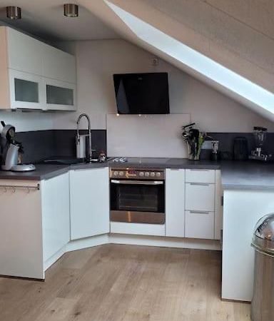 Apartment Schwarzwaldmaedel Friedenweiler Ngoại thất bức ảnh