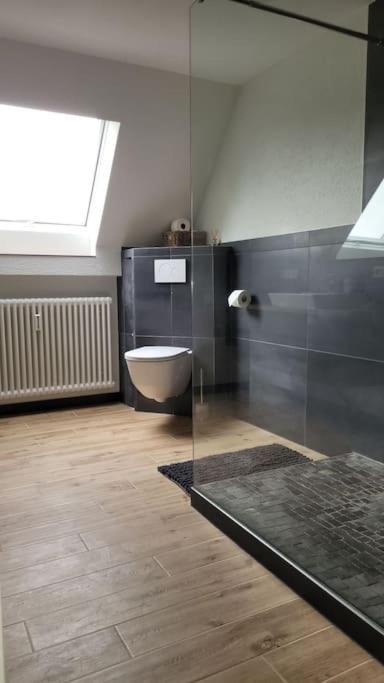 Apartment Schwarzwaldmaedel Friedenweiler Ngoại thất bức ảnh