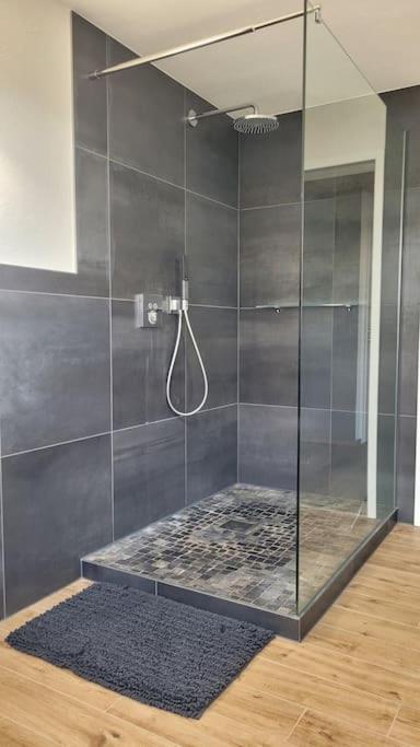 Apartment Schwarzwaldmaedel Friedenweiler Ngoại thất bức ảnh